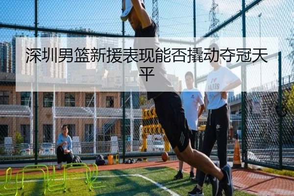 深圳男篮新援表现能否撬动夺冠天平 | jiuyou