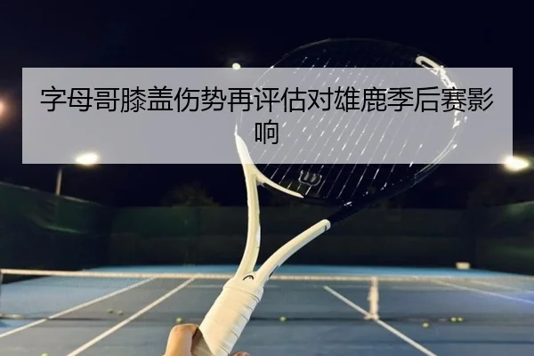 字母哥膝盖伤势再评估对雄鹿季后赛影响 | jiuyou